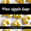 Pine-nipple Sage - Boob Wax Melts